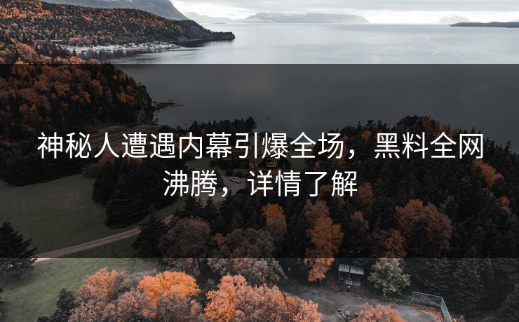 神秘人遭遇内幕引爆全场，黑料全网沸腾，详情了解