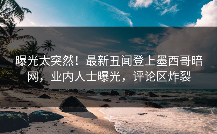 曝光太突然！最新丑闻登上墨西哥暗网，业内人士曝光，评论区炸裂
